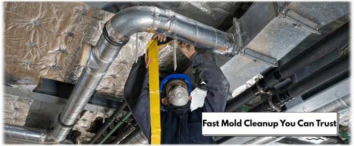 Air Duct Mold Removal in Carrollton TX