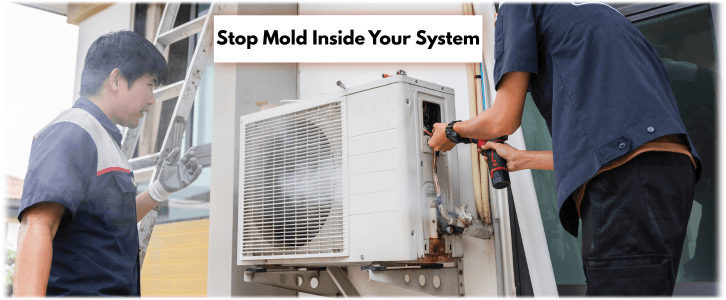 HVAC Mold Removal Carrollton TX
